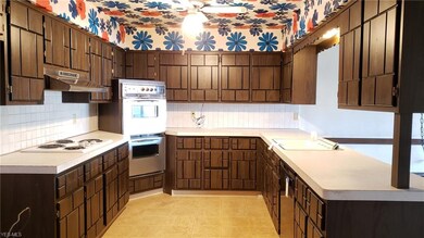 30305 Overlook Dr, Wickliffe, OH 44092 - photo 4