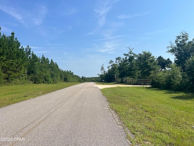 0 SE Nadine Stone Landing Rd, Kinard, FL 32449 - photo 5