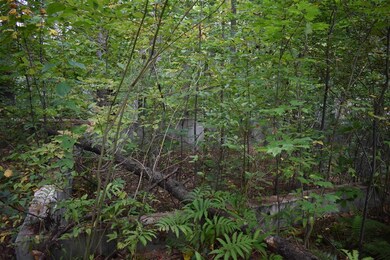 5 Rabbit Path, Hillsborough, NH 03244 - photo 6