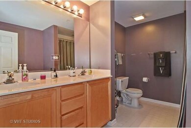 111 N Larch Ave unit 301, Elmhurst, IL 60126 - photo 6