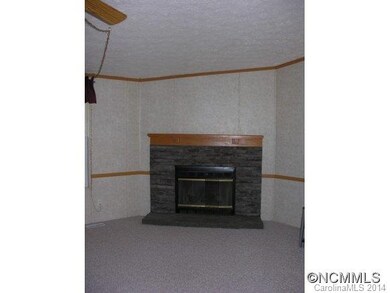 Wood Burning Fireplace