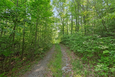 00 Homeland (5 04 Acres) Dr, Mountain  Rest, SC 29664 - photo 4