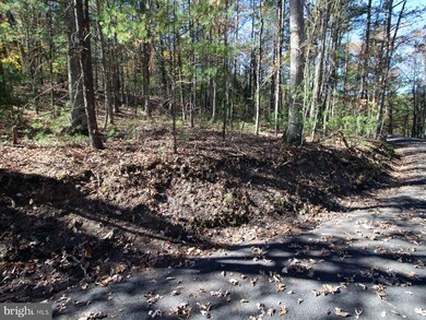 0 Breckinridge Rd, Basye, VA 22810 - photo 4