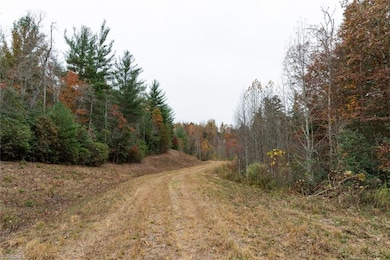 TBD W Us Highway 421, Ferguson, NC 28624 - photo 6