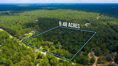 4460 Tick Haven Ln Aerial-2