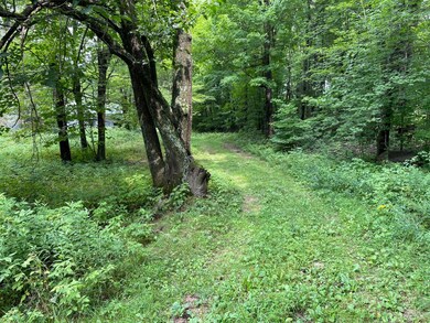 N8852 New Wood Rd, Tomahawk, WI 54487 - photo 4