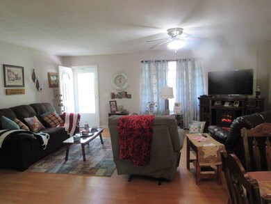 7210 Newkirk Rd, Mountain Grove, MO 65711 - photo 7