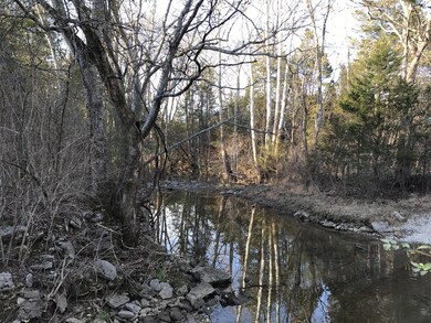 Creek, drive to the right and you will drive through creek to get to home on a concrete pad, water is very shallow
