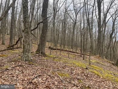 LOT 19 SEC 14 High Knob Rd, Old Fields, WV 26845 - photo 4