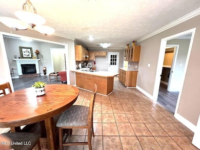 Robin - Dining to kitchen