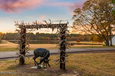 415 Rose Hill Rd, Bentonia, MS 39040 - photo 4