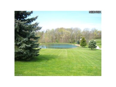 stocked pond with bass at rear of property