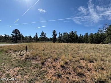 2221 W Edgewater unit Lot 57, Show Low, AZ 85901 - photo 6