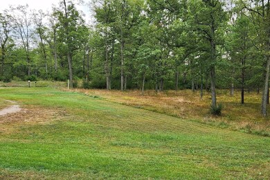 9129 N Woodbridge Ave, Bitely, MI 49309 - photo 4