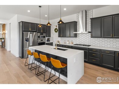 1631 Sundown Run Dr, Windsor, CO 80550 - photo 2