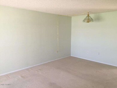 17210 N 105th Ave, Sun City, AZ 85373 - photo 6