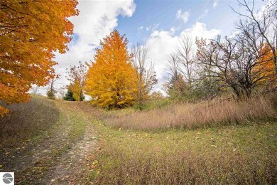 0 E Lincoln Rd unit 1859726, Cedar, MI 49621 - photo 3