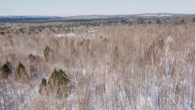 TBD Targett Rd, New Gloucester, ME 04260 - photo 3