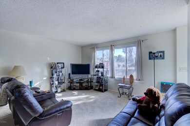 3827 S Mill Ave-22