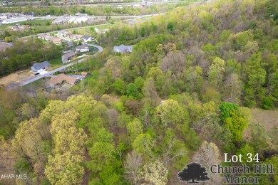 Off Highland Dr, Bedford, PA 15522 - photo 4