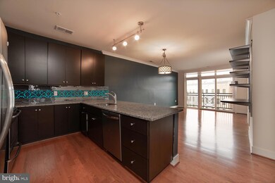 915 N Patrick St unit 306, Alexandria, VA 22314 - photo 4