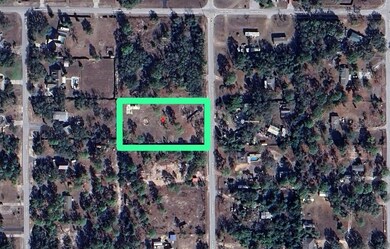 18333 Galveston St, Shady Hills, FL 34610 - photo 2