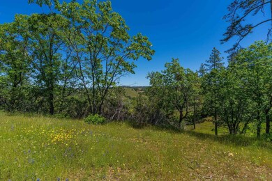 12377 Twin Pines Rd, Sutter Creek, CA 95685 - photo 5