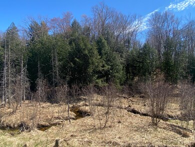 valley with creek