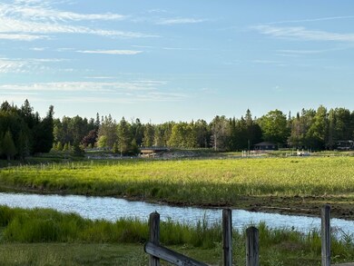 1665 S Forest Ln, Cedarville, MI 49719 - photo 4