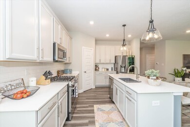 The walk-in pantry is huge!