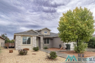 1100 Chitalpa Ct, Carlsbad, NM 88220 - photo 3