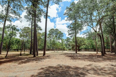 421 Blalock Rd, Houston, TX 77024 - photo 5