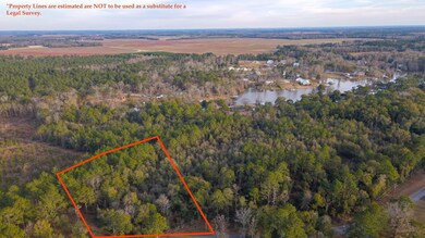Lot 45 , Scenic Rt S D On Scenic Route, Cordele, GA 31015 - photo 7