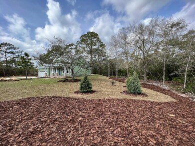 388 Royal Tern Way, Carrabelle, FL 32322 - photo 2