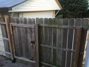 Gate into Backyard