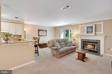 723 Cedar Crest Dr unit A, Warrenton, VA 20186 - photo 7