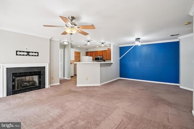 11005 Kinship Ct unit 303, Manassas, VA 20109 - photo 7