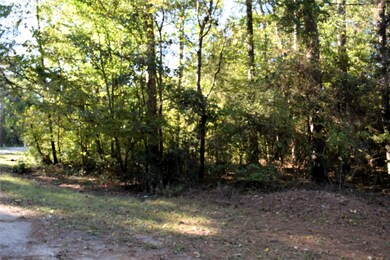 The lot  is predominantly wooded with some cleared areas