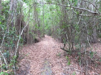 Trail to Interior