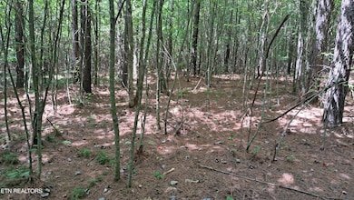 Lot 21 Airport Rd (Pca), Rockwood, TN 37854 - photo 3