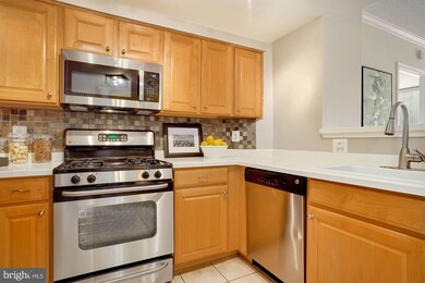 3835 9th St N unit 604W, Arlington, VA 22203 - photo 5