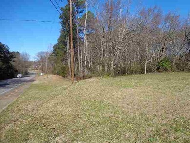 00 Crenshaw St unit & Greenville Street, Pendleton, SC 29670 - photo 3