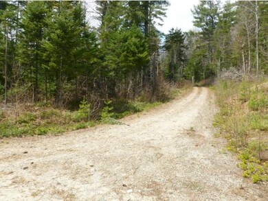 0 Morristown unit 4404167, Franconia, NH 03580 - photo 4