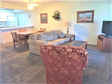 Thousand Hills Golf Condo (2)