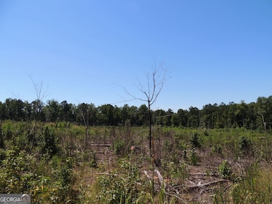 18 +/- AC Bethel Rd W, Franklin, GA 30217 - photo 3