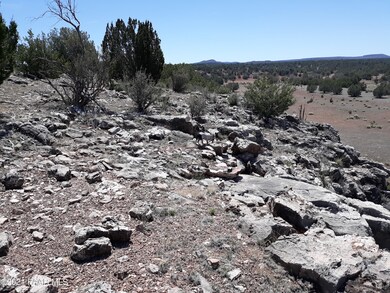 Lot 390 Unit 4 Juniperwood Ranch, Ash Fork, AZ 86320 - photo 5