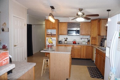 3708 Old Highway 431, Wedowee, AL 36278 - photo 7