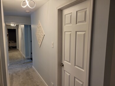 17945 Michael Ave, Country Club Hills, IL 60478 - photo 5