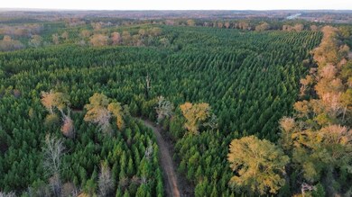 104 Gammage Rd, Pittsview, AL 36871 - photo 6