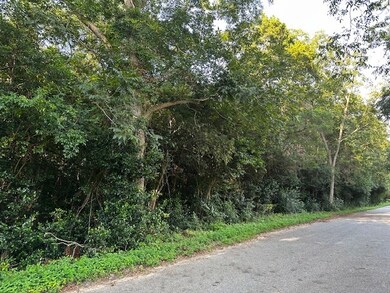 1.86 ac Highway 82 Cherry St, Ty Ty, GA 31795 - photo 4